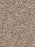 SP250