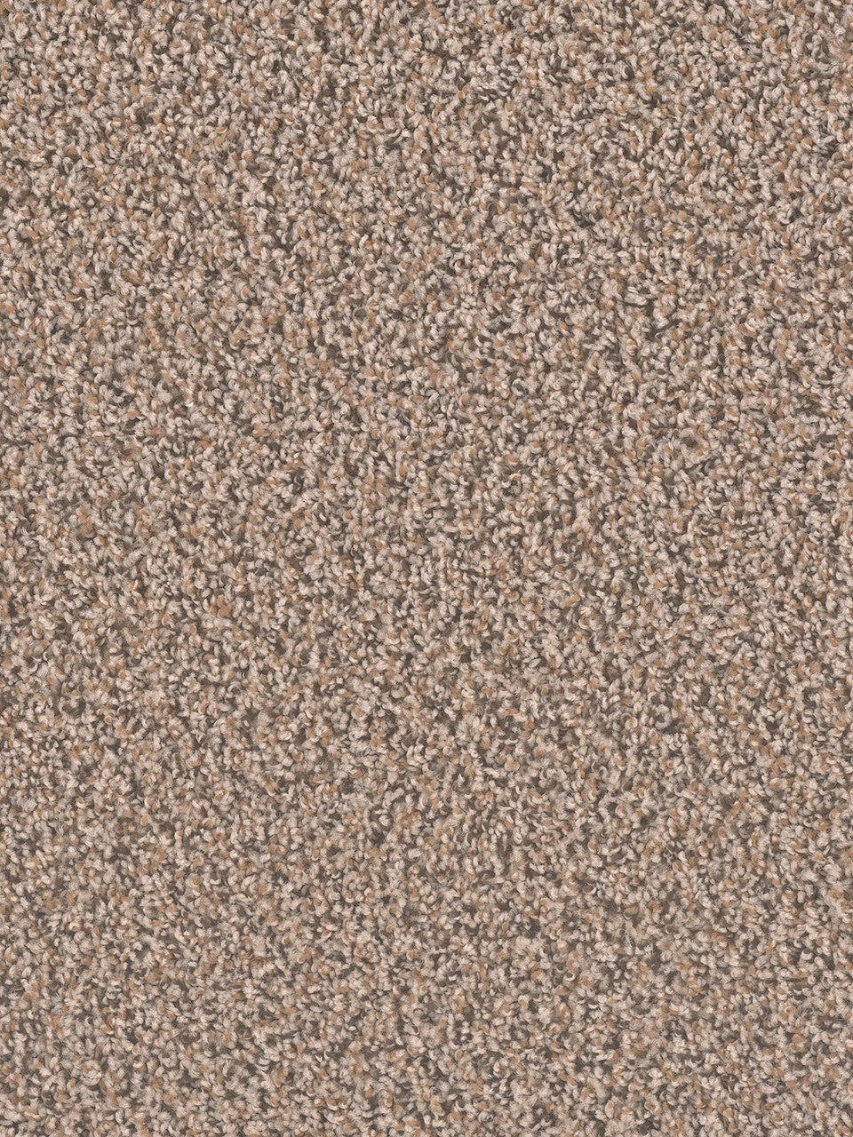 SP250