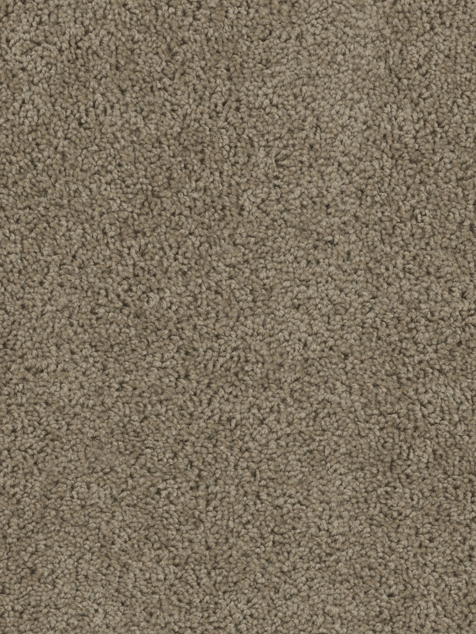 SP250