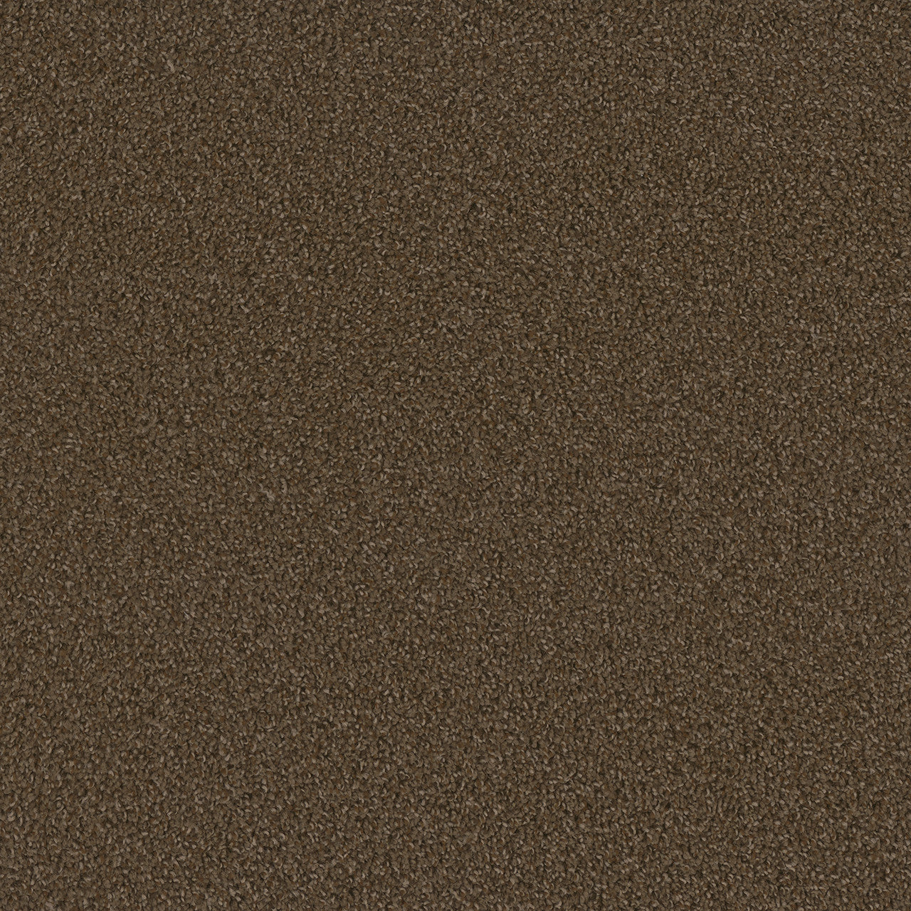 SP250
