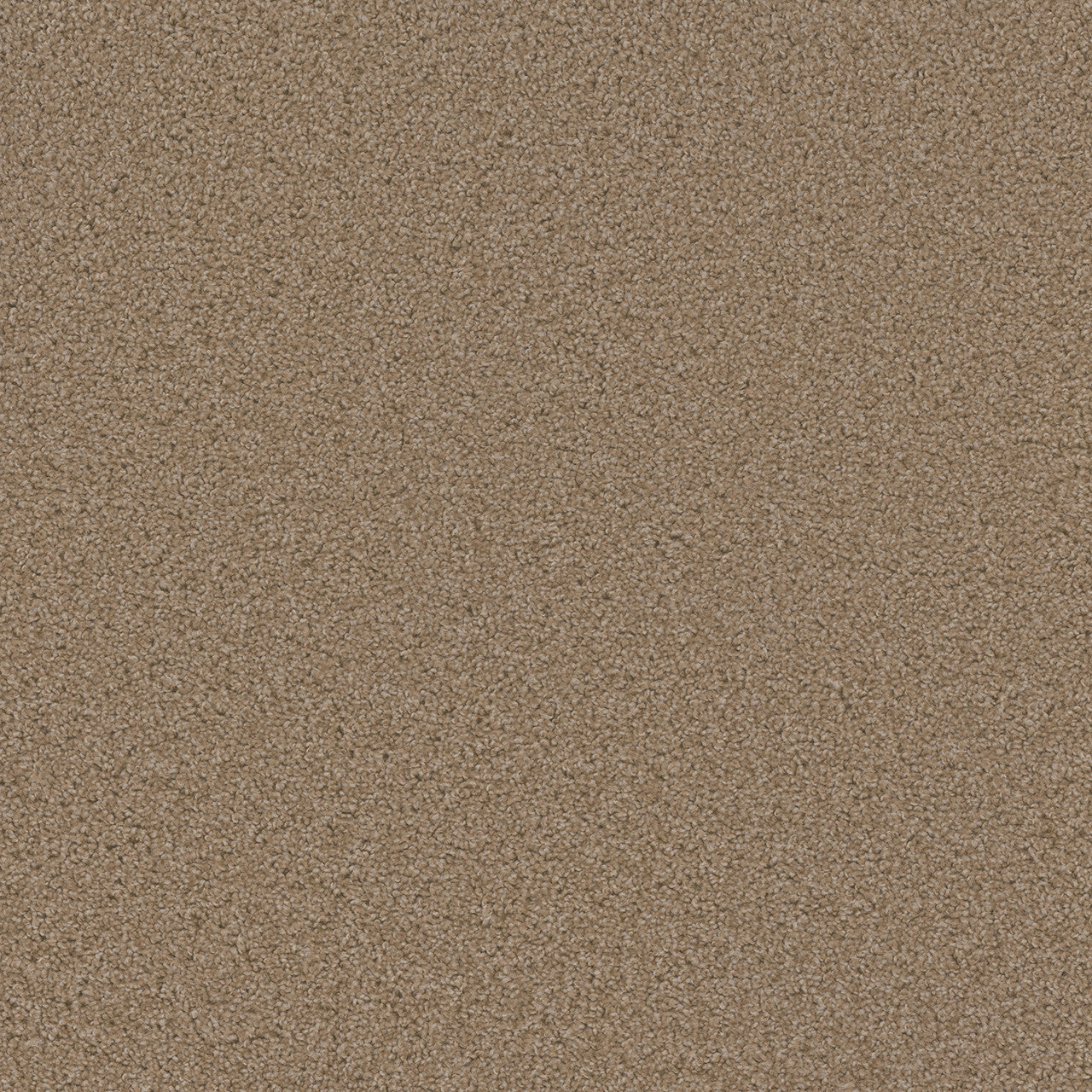SP250