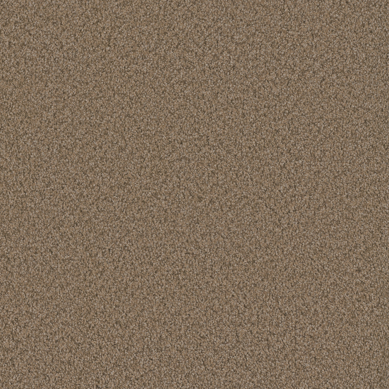 SP250