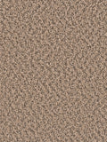 SP250