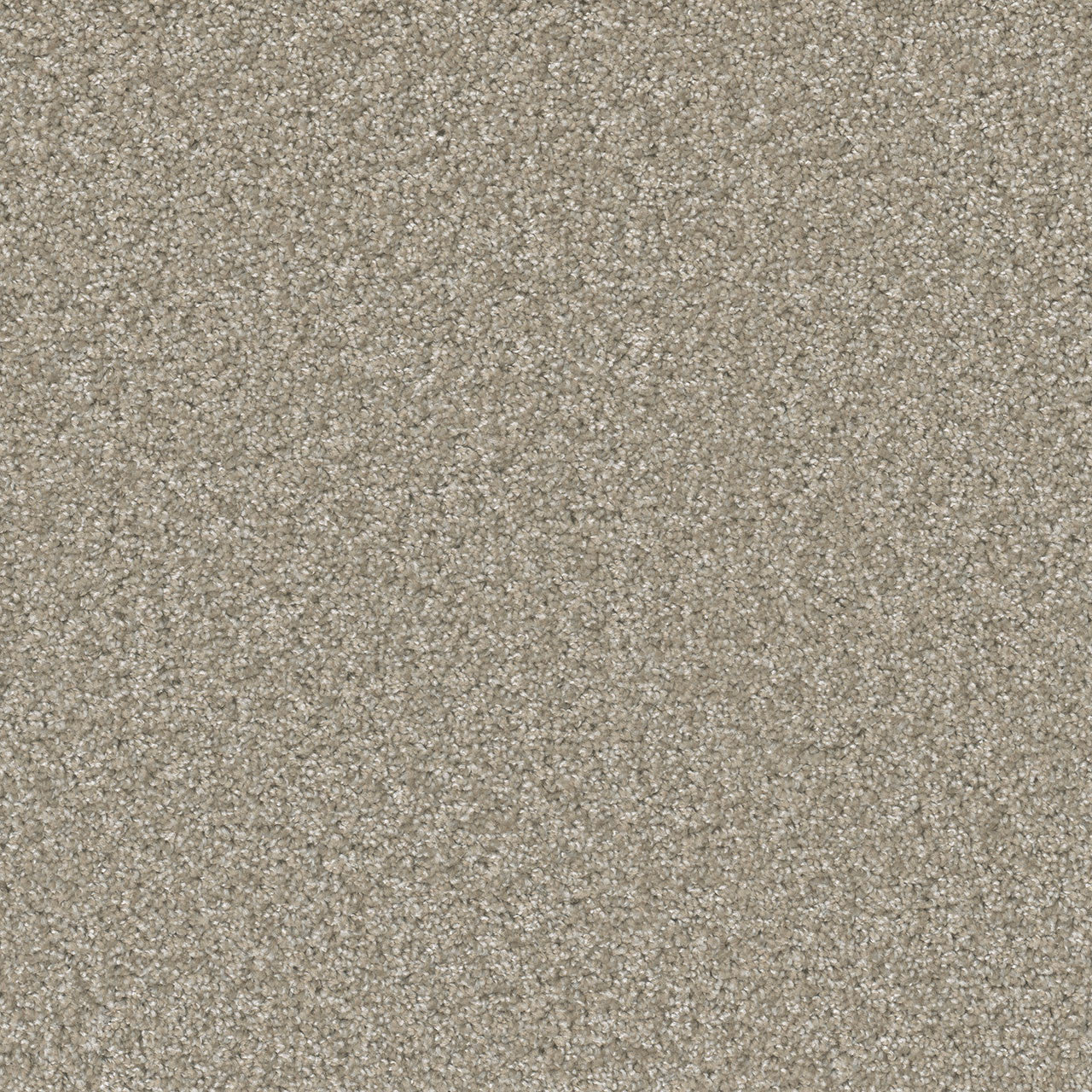 SP251