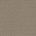 SP251
