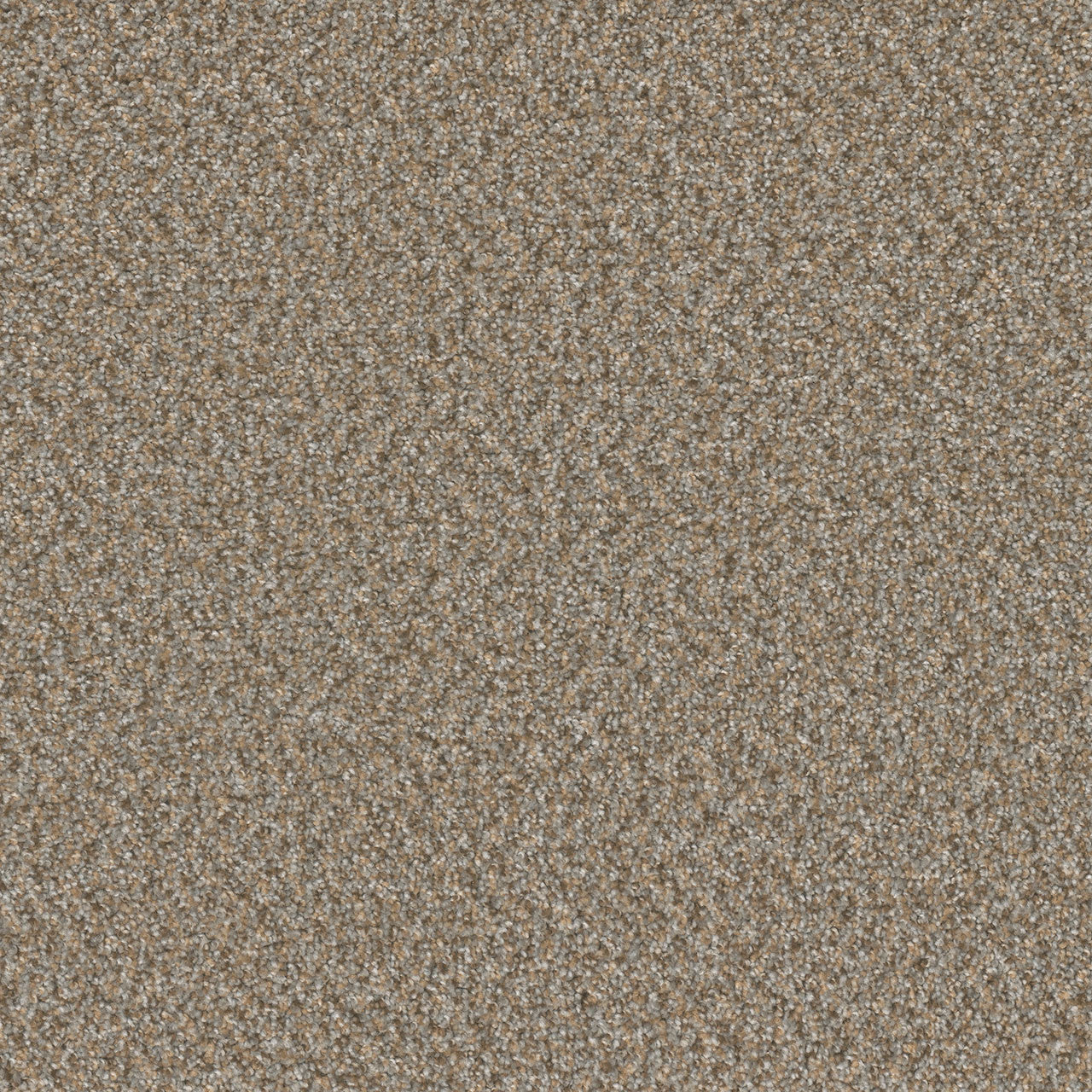 SP251