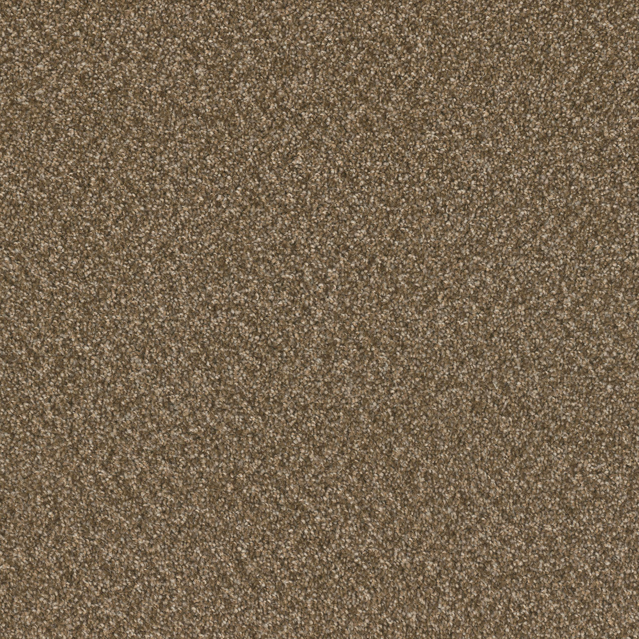 SP251