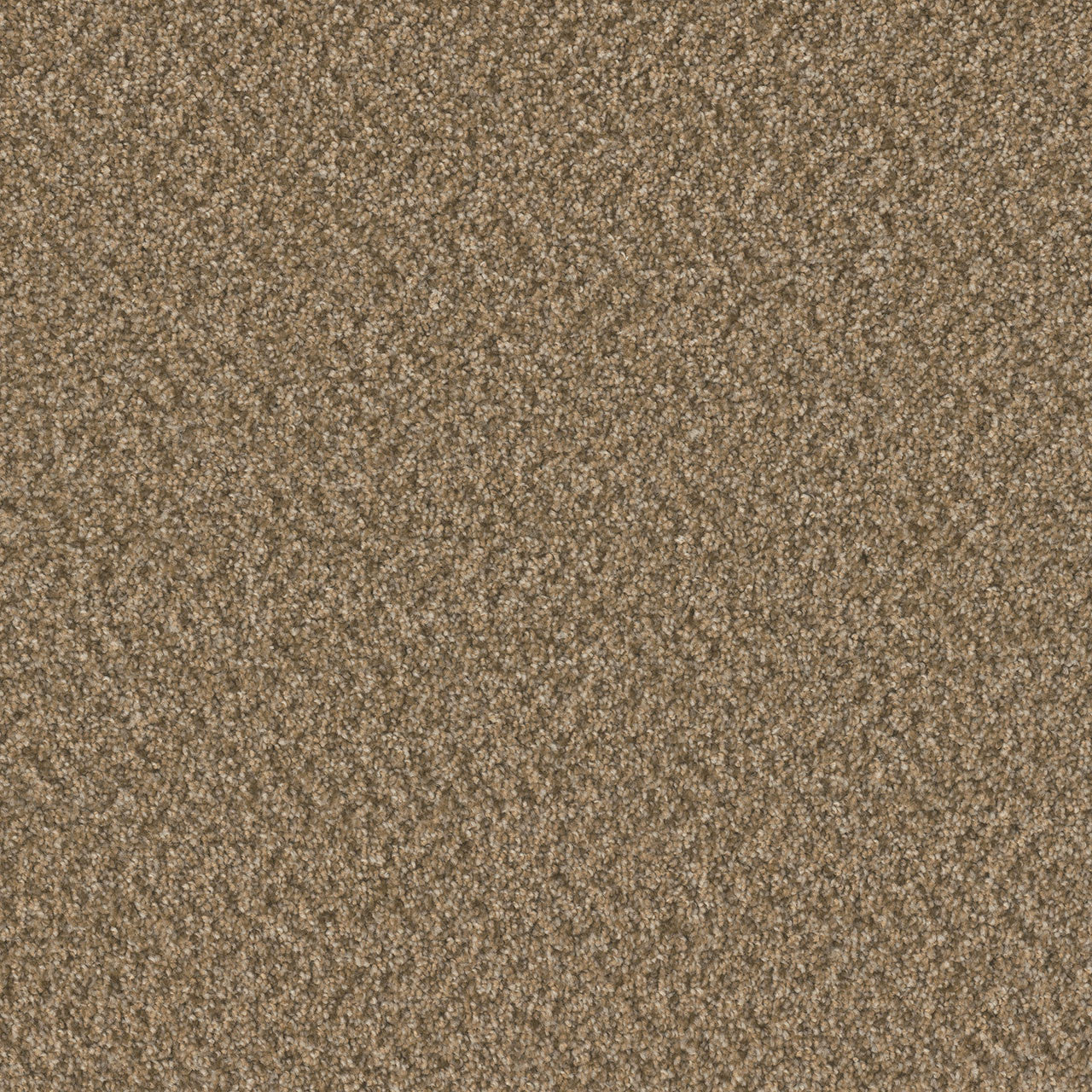 SP251