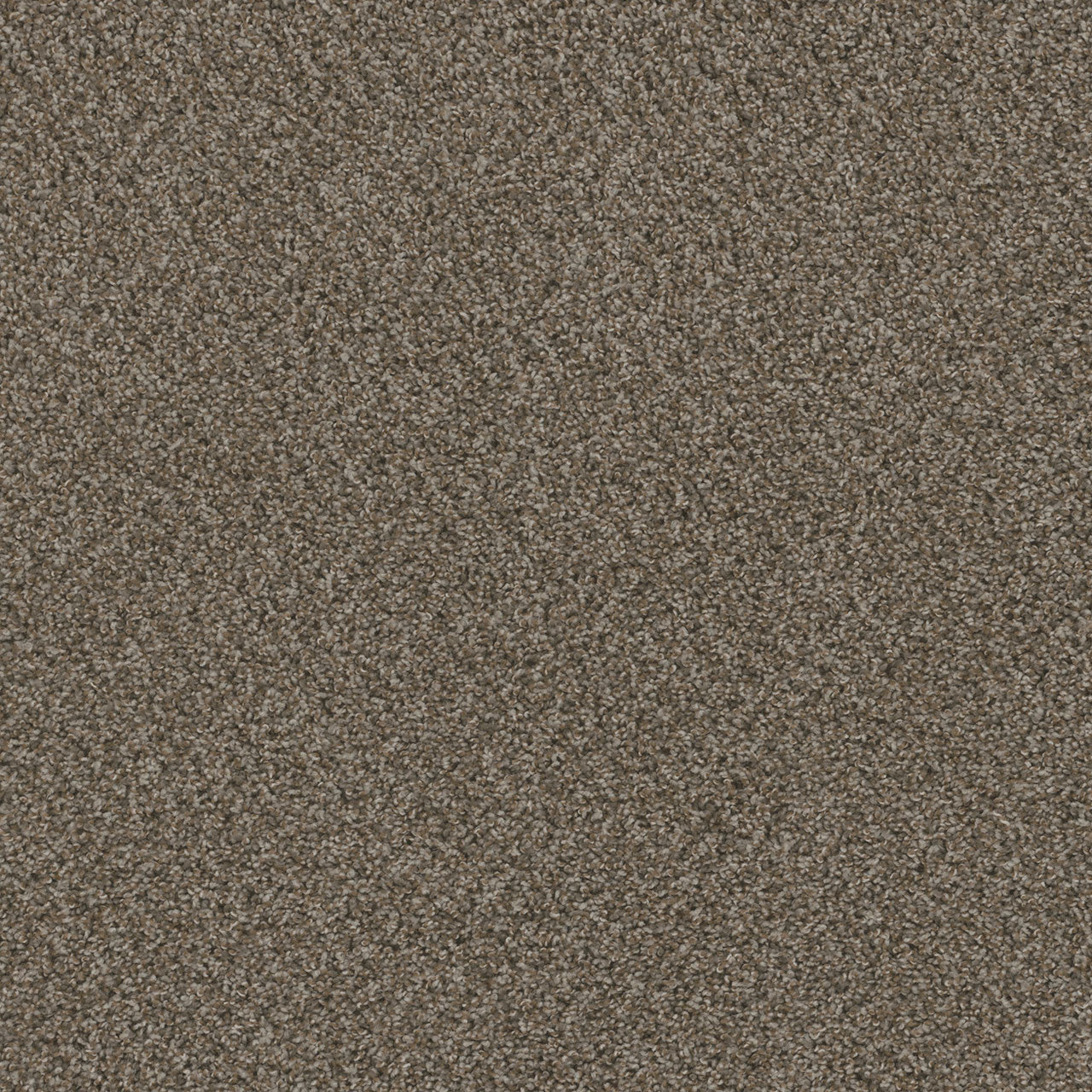 SP251