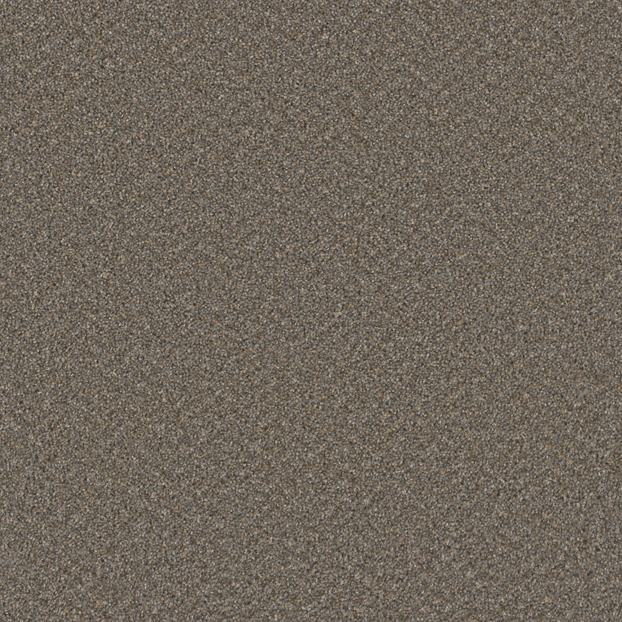 SP251