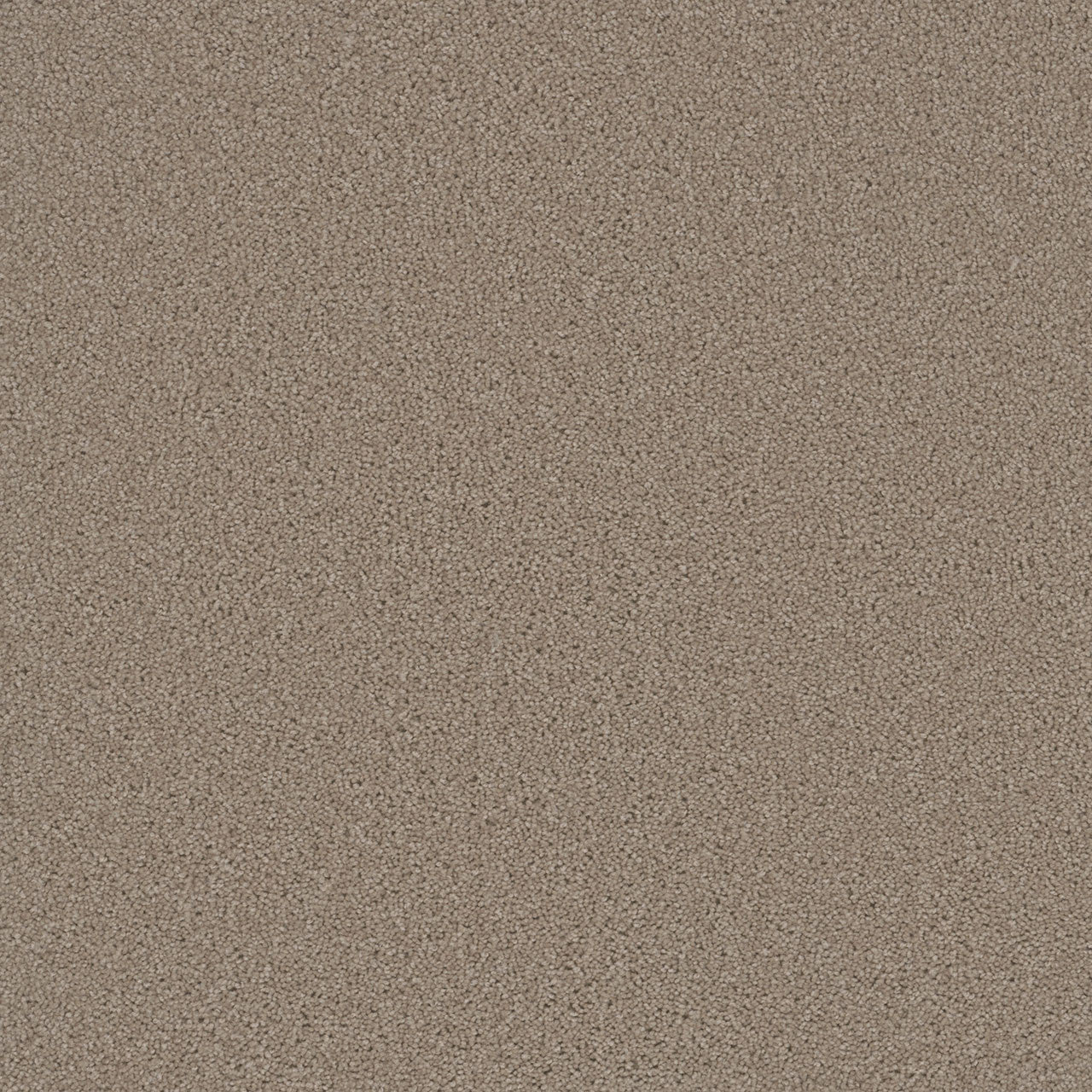 SP251