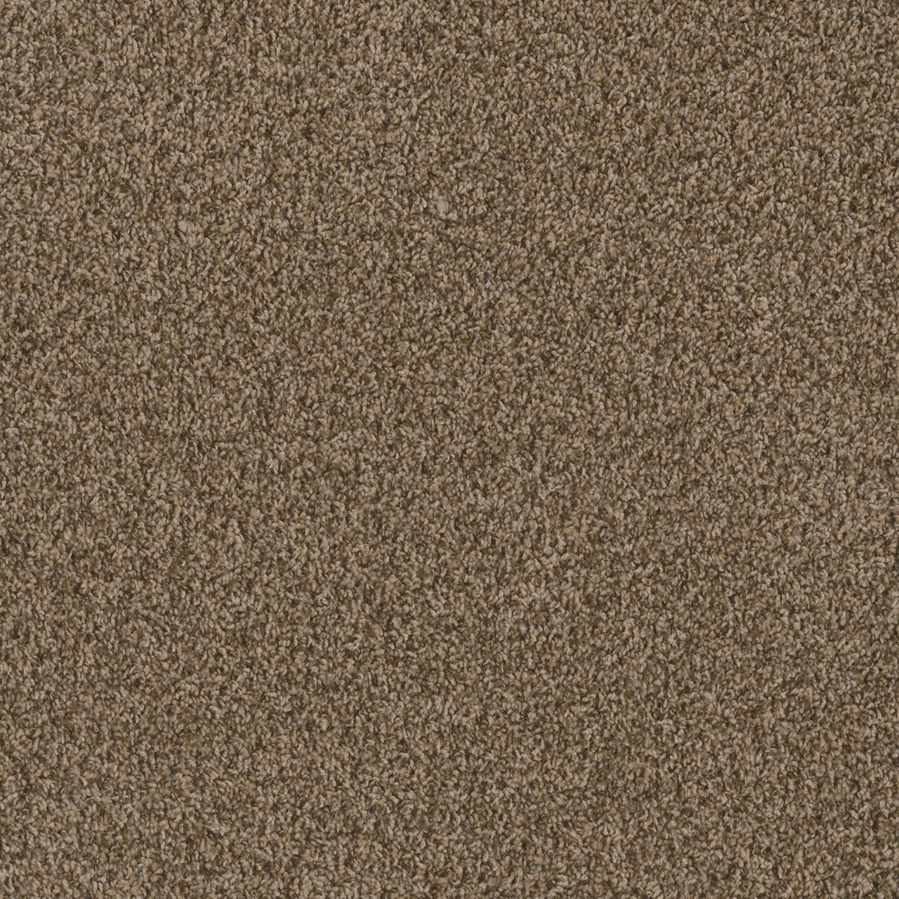 SP251