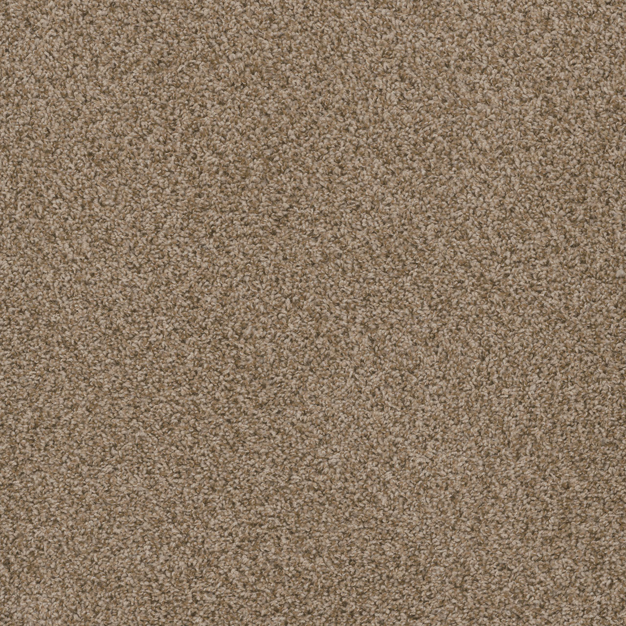 SP251