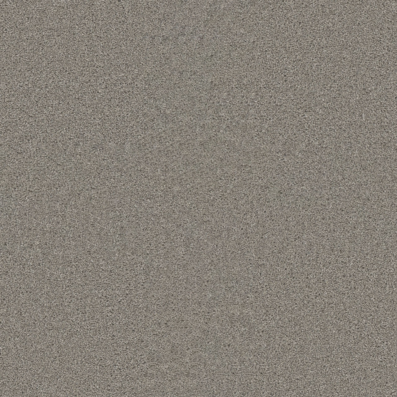 SP251