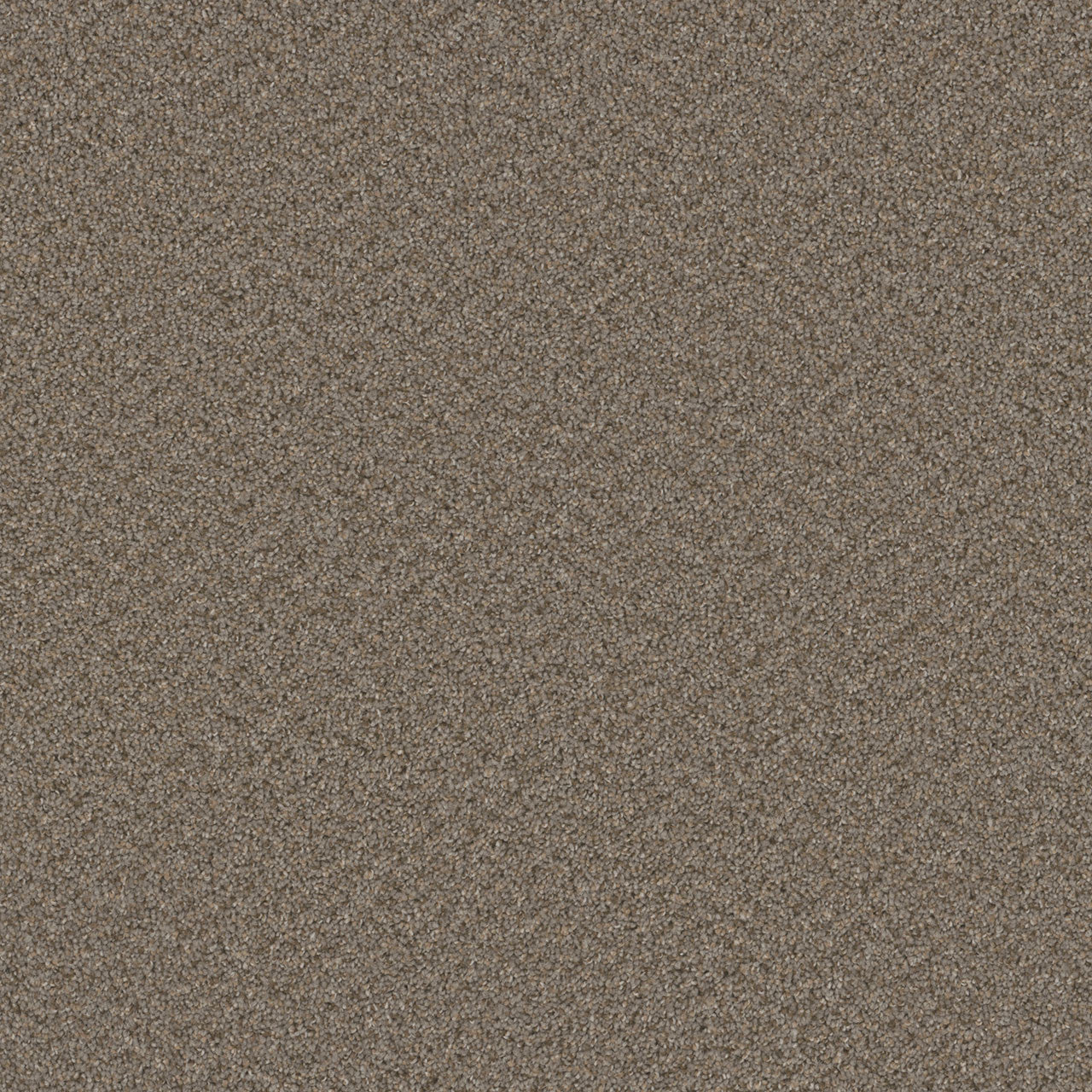 SP251