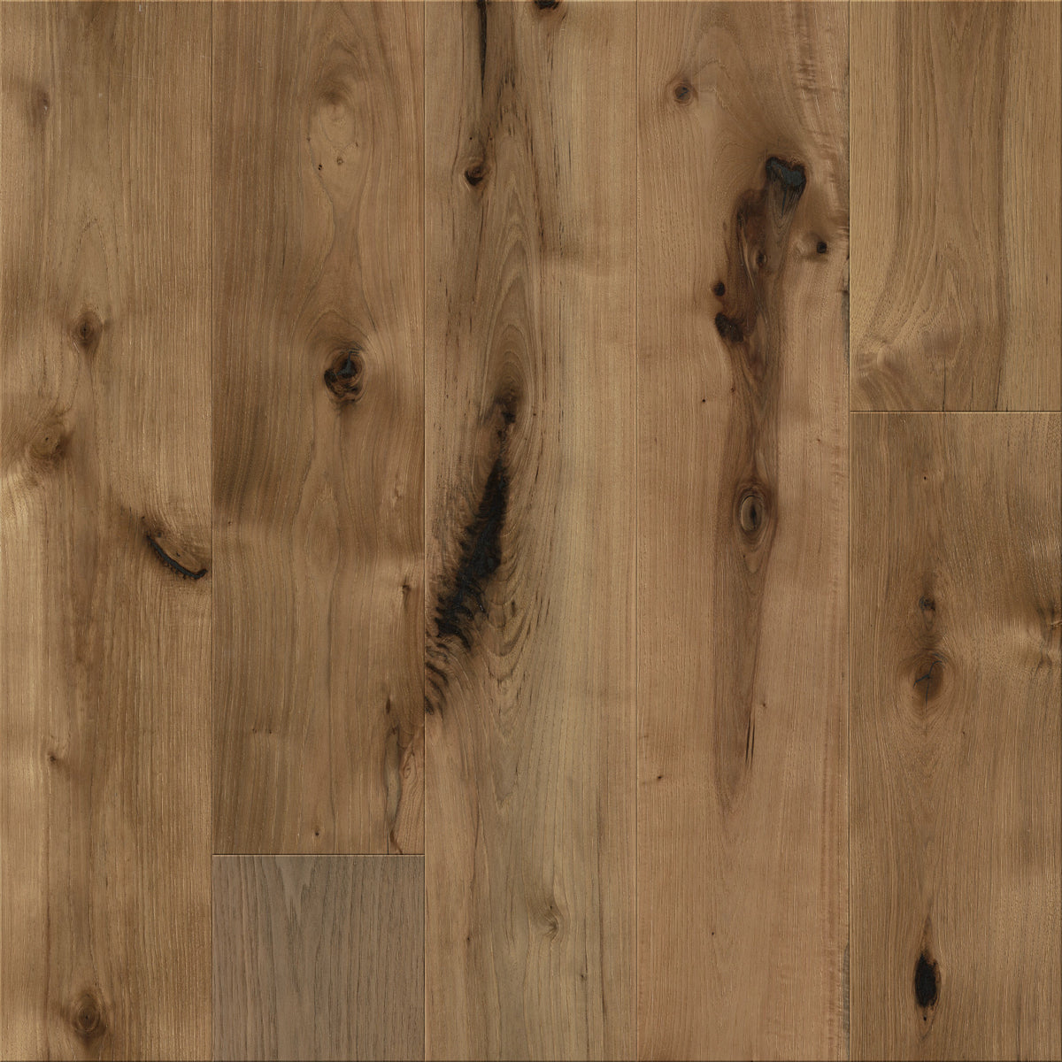 Transcendence 7.48" Engineered Hickory - Absolute