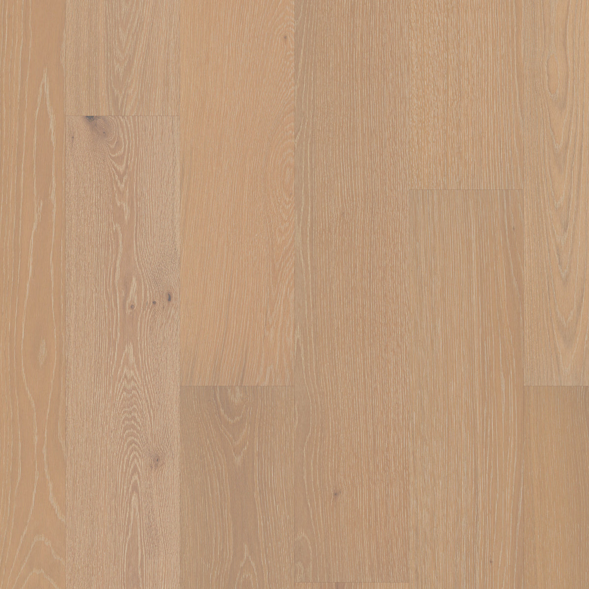Noble Hall 7" Engineered White Oak - Countess