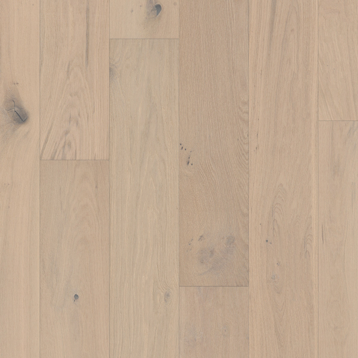 Coast to Coast 7.48" Engineered White Oak - Sandbar