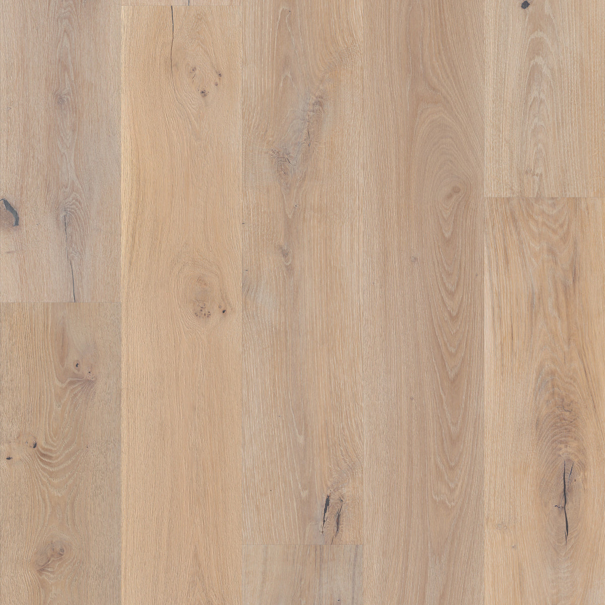 Chateau Oak 8.66" Engineered White Oak - Portico