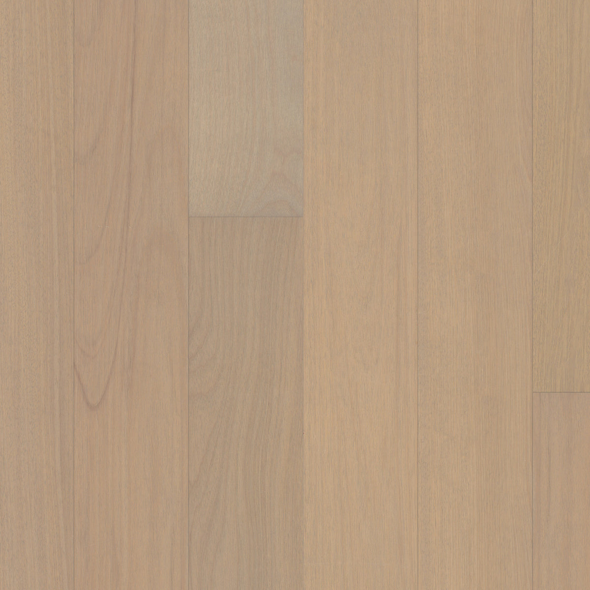Brasilia 7.5" Engineered Brazilian Oak - Campo