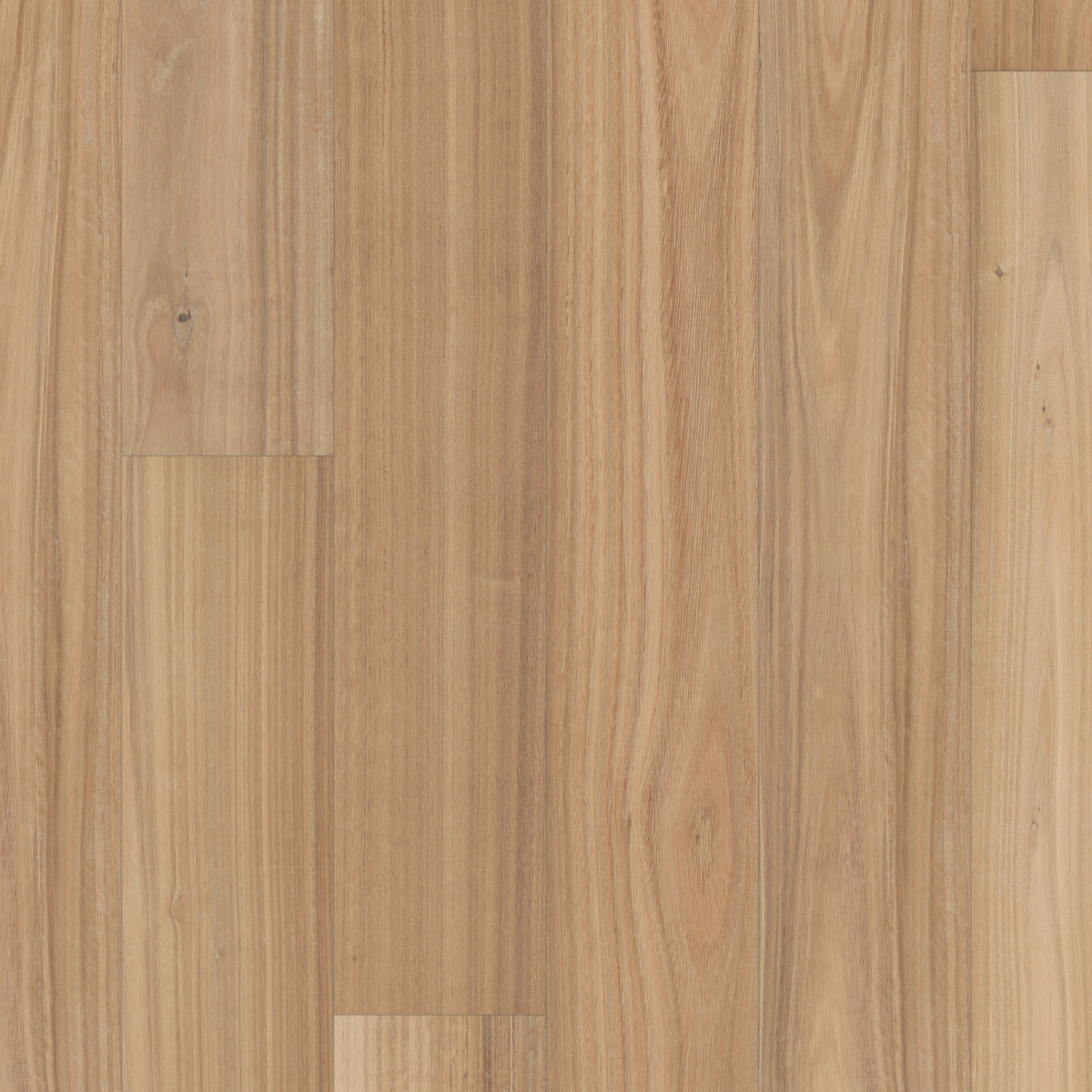 Valencia Walnut 7.48" Engineered European Walnut - Alabaster
