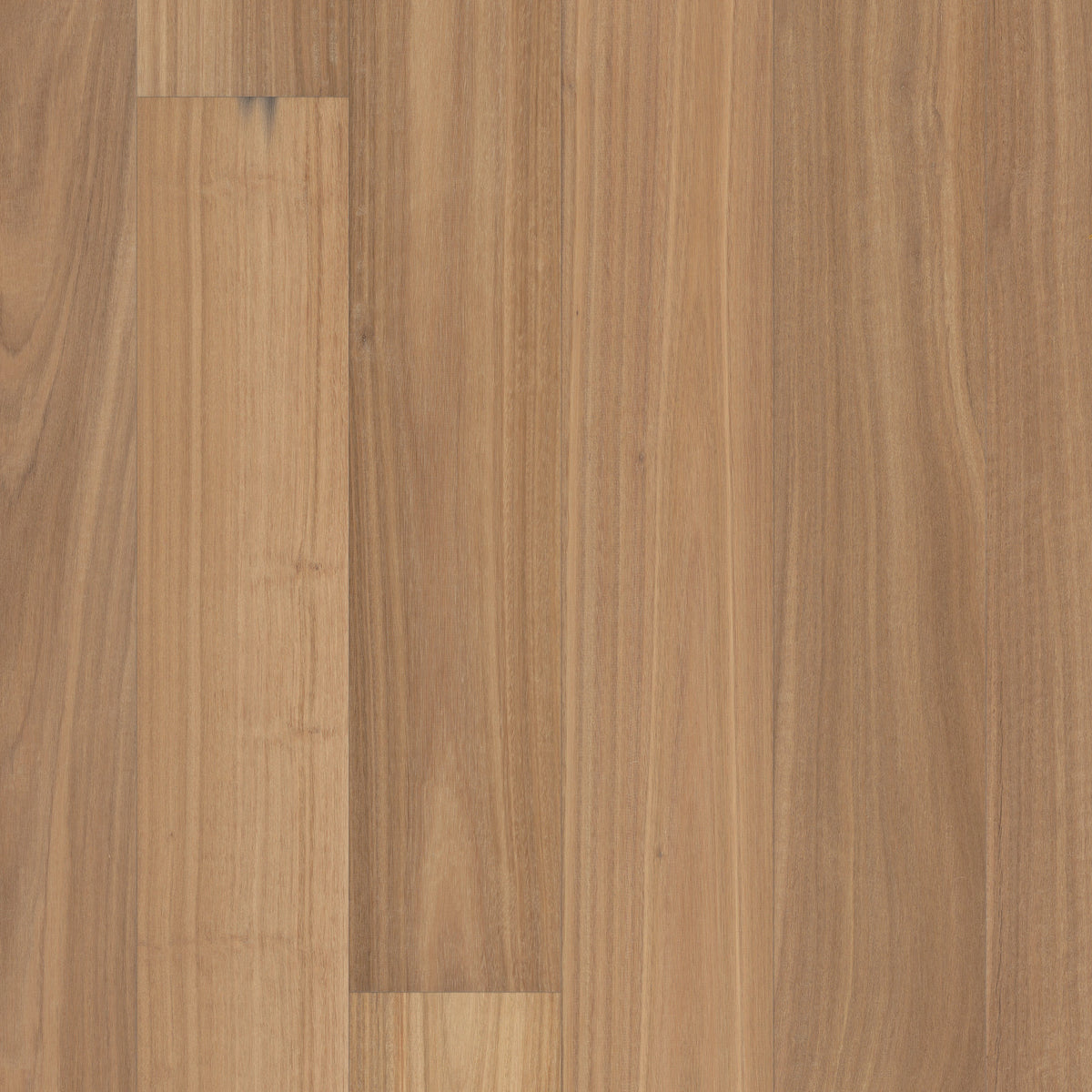Valencia Walnut 7.48" Engineered European Walnut - Tahini