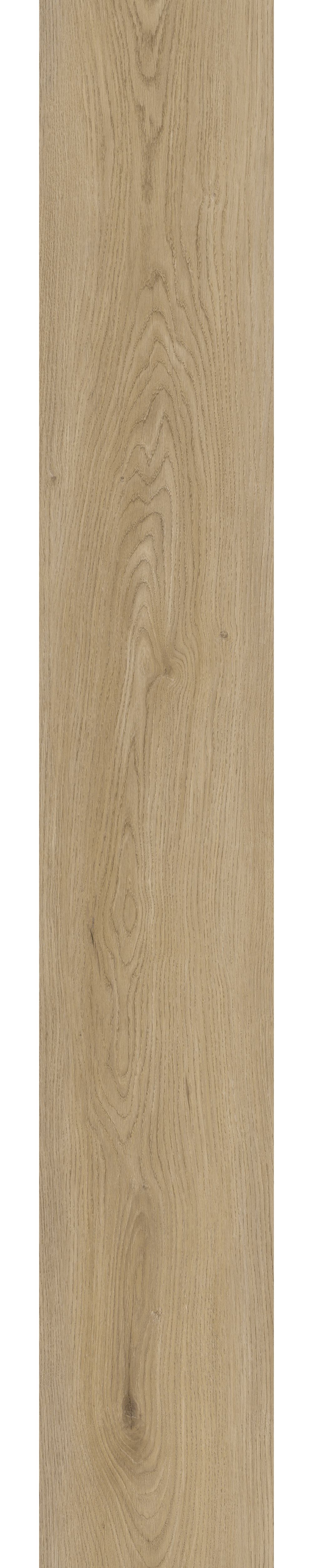 Aladdin Bentwood 2.0 - 12 mil