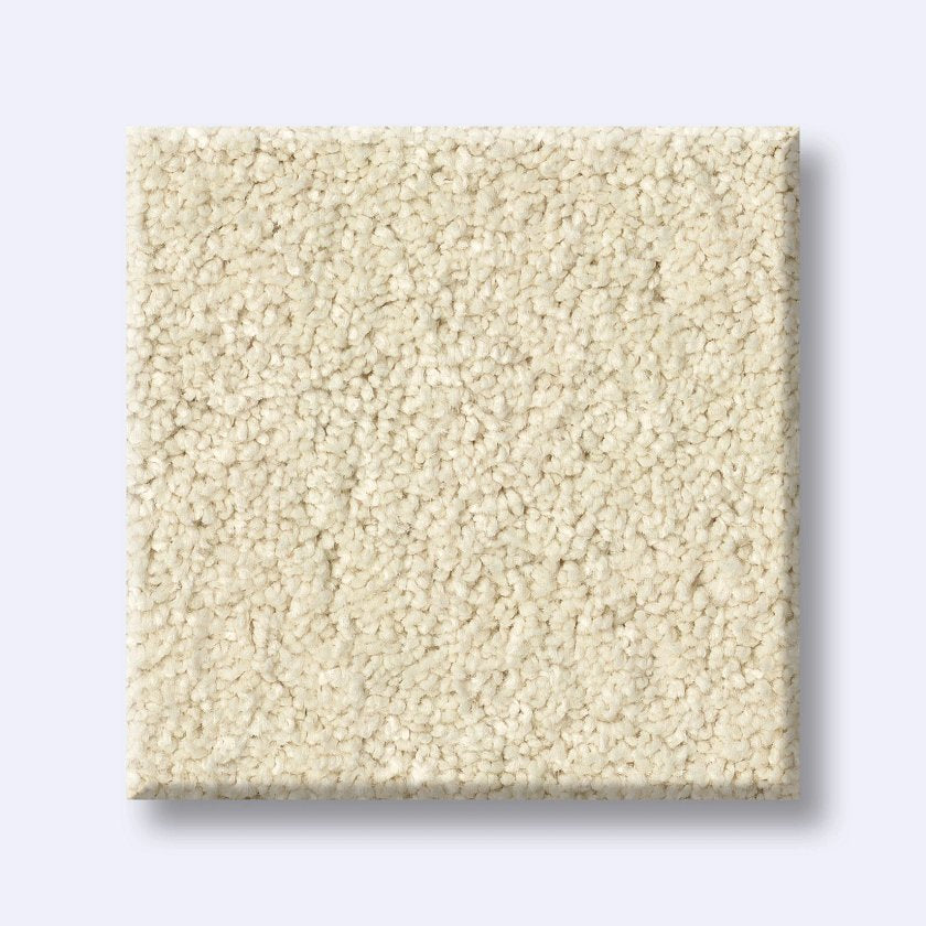 CASHMERE II