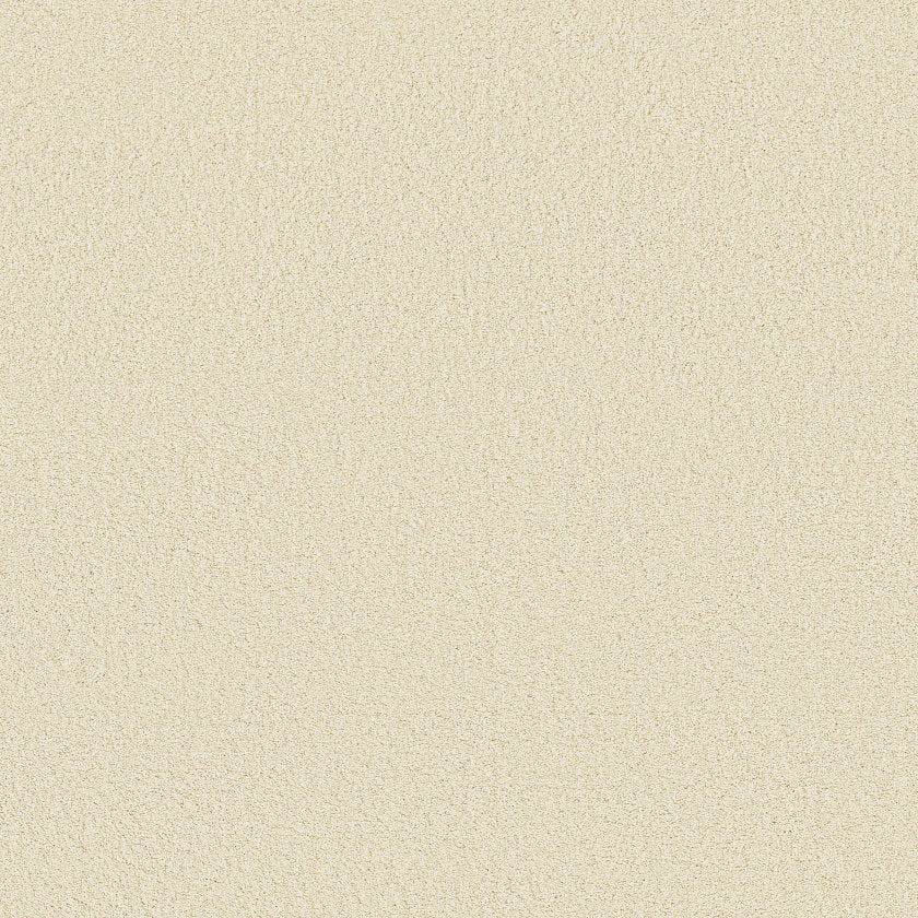 CASHMERE III