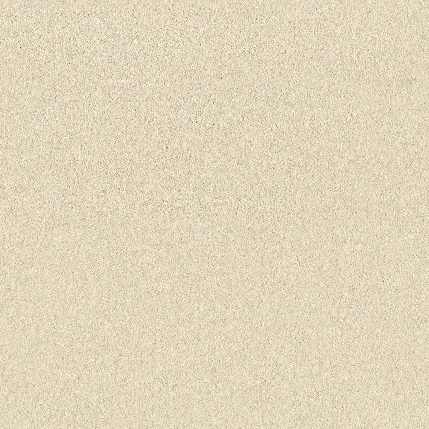 CASHMERE IV