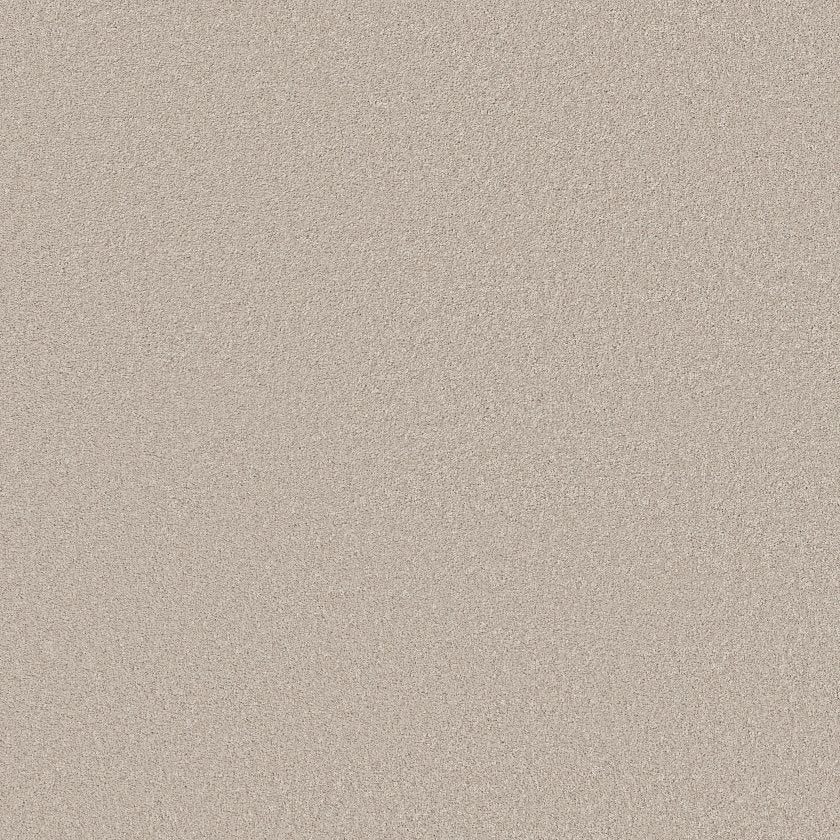 CASHMERE CLASSIC III