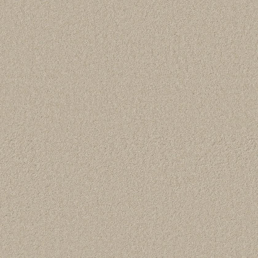 CASHMERE CLASSIC IV