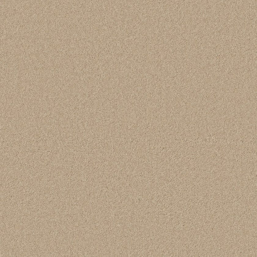 CASHMERE CLASSIC IV