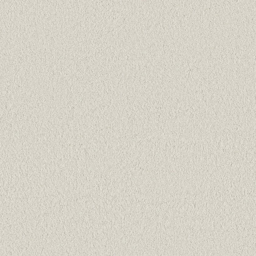 CASHMERE CLASSIC IV