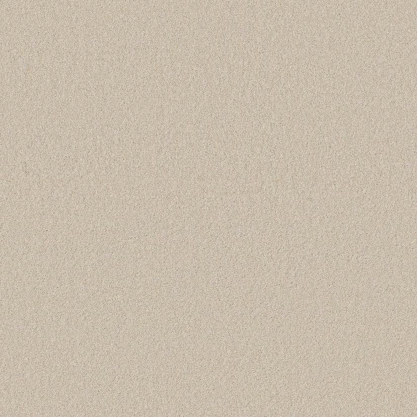 CASHMERE CLASSIC IV
