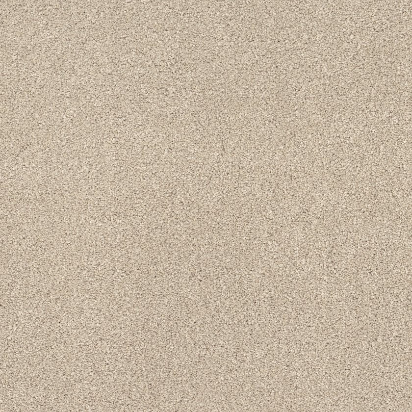 CASHMERE CLASSIC IV