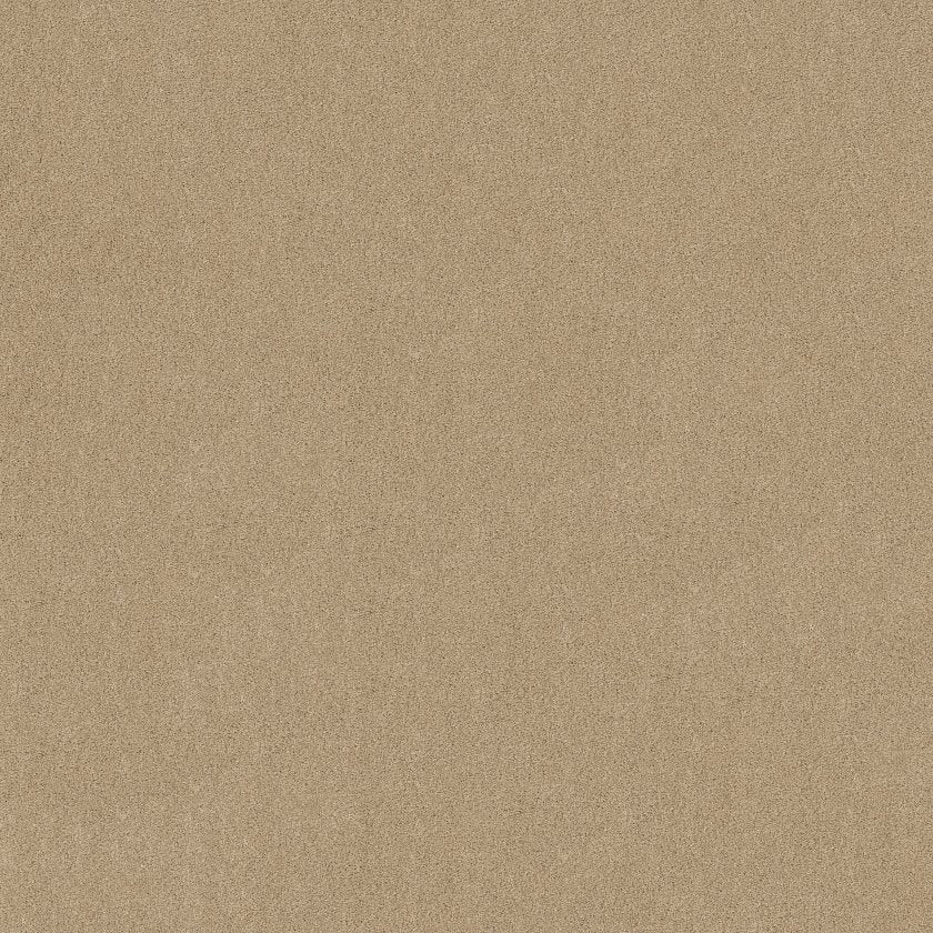 CASHMERE CLASSIC IV