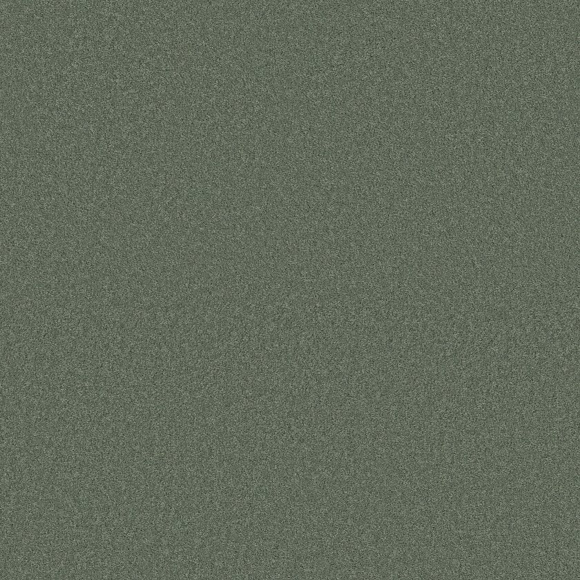 CASHMERE CLASSIC IV