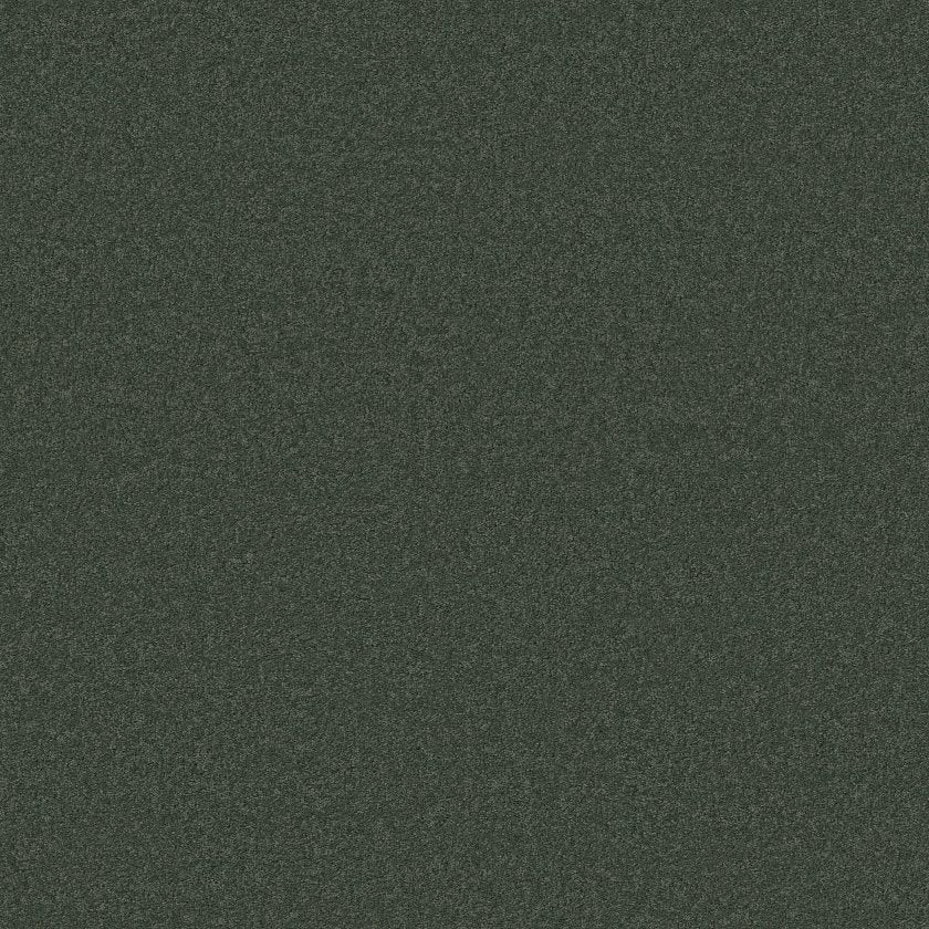 CASHMERE CLASSIC IV