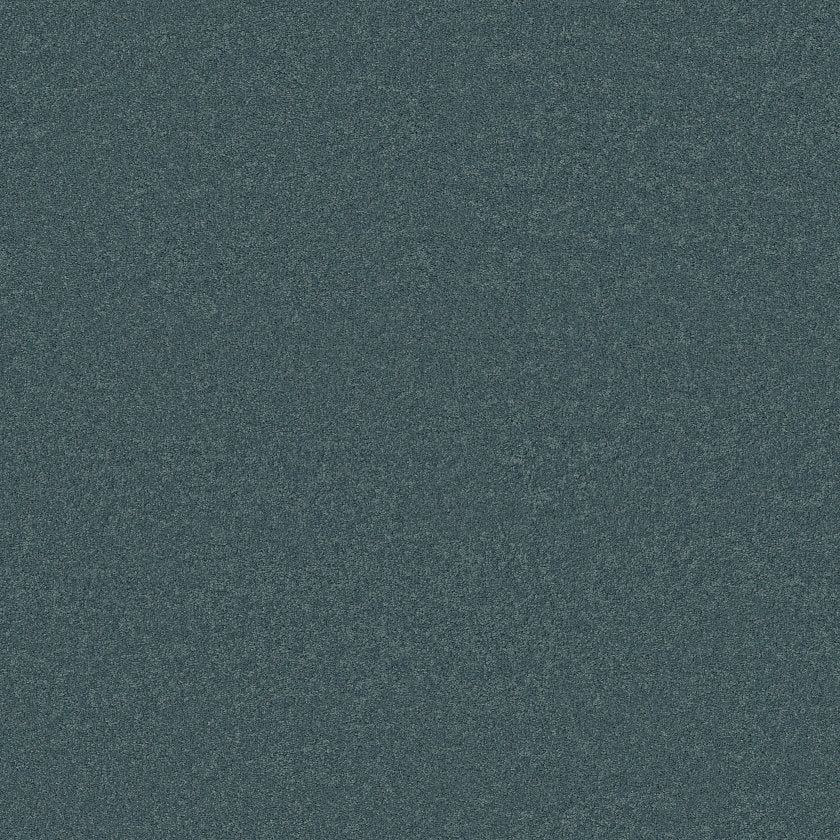 CASHMERE CLASSIC IV