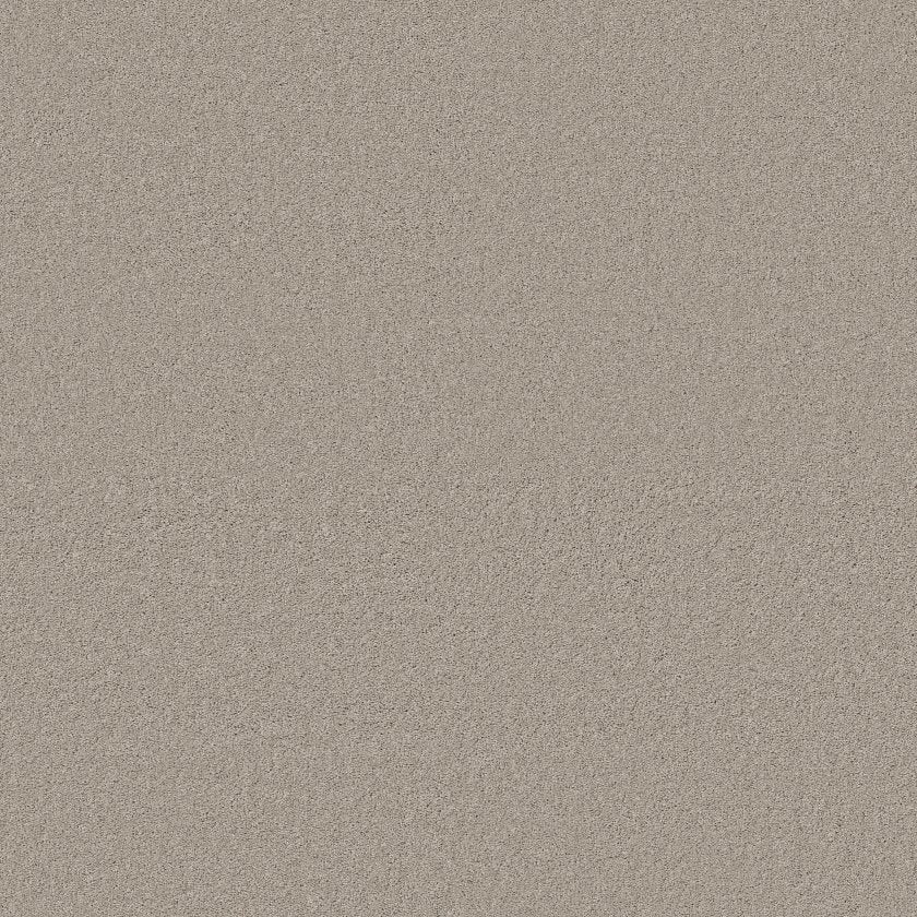 CASHMERE CLASSIC IV