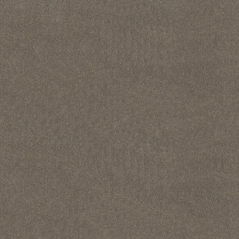 CASHMERE CLASSIC IV