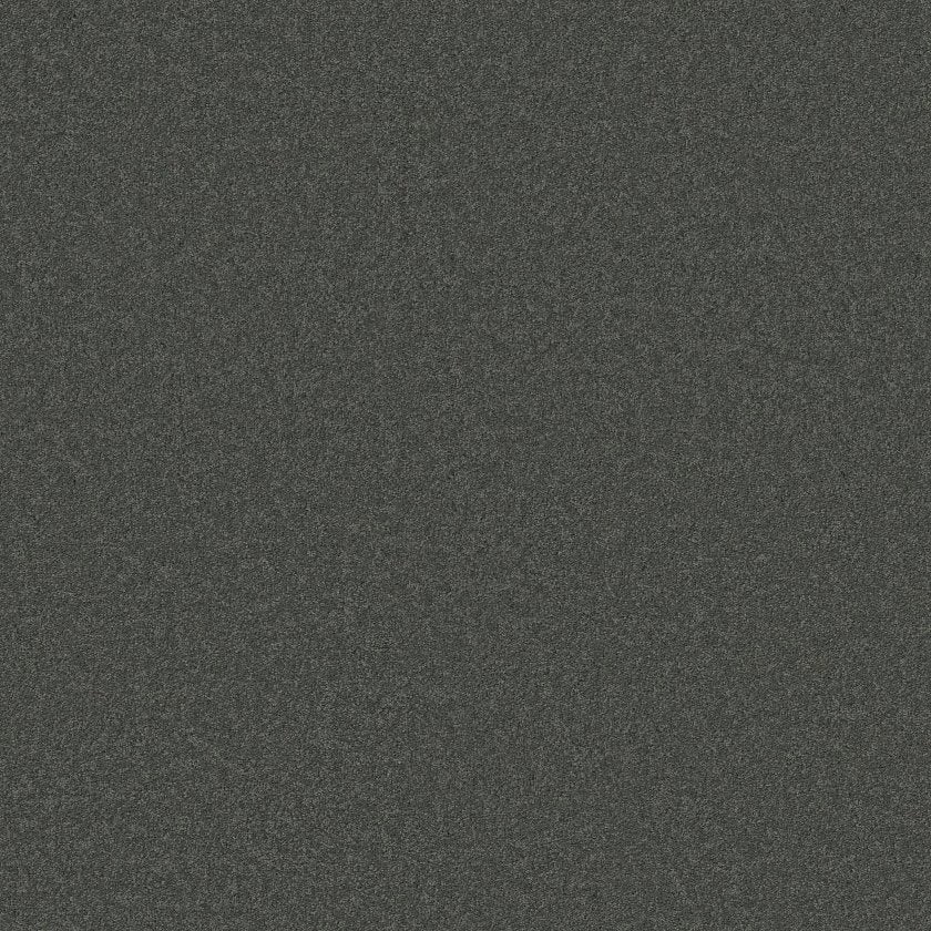 CASHMERE CLASSIC IV