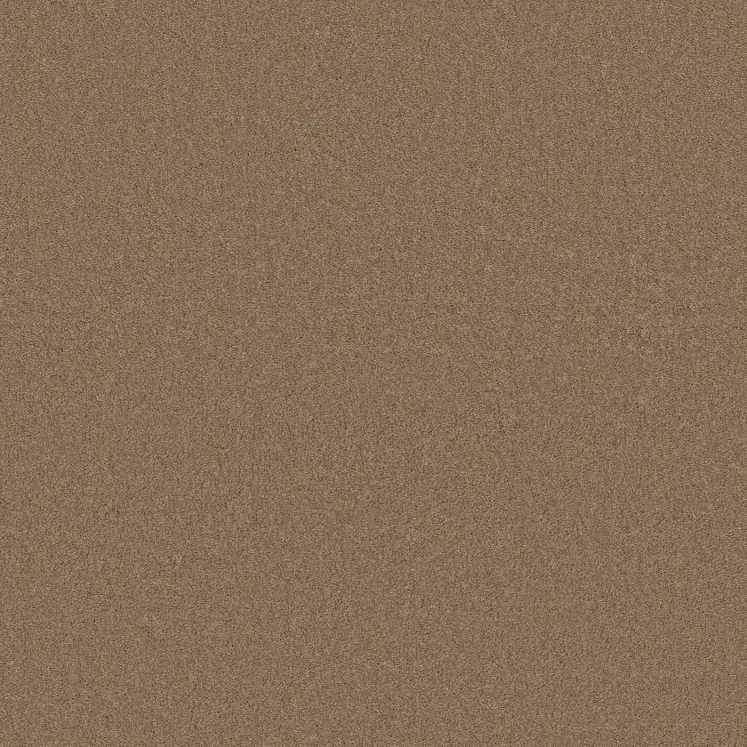 CASHMERE CLASSIC IV
