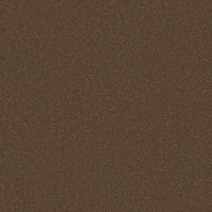 CASHMERE CLASSIC IV