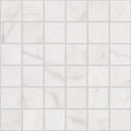 MAXIMUS MOSAIC