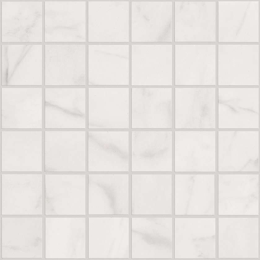MAXIMUS MOSAIC