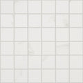 MAXIMUS MOSAIC