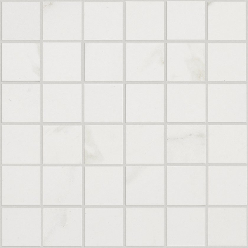 MAXIMUS MOSAIC