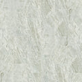 CASINO 12X24 POLISH